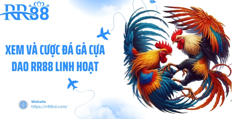 Xem và cược đá gà cựa dao RR88 linh hoạt Xem và cược đá gà cựa dao RR88 linh hoạt